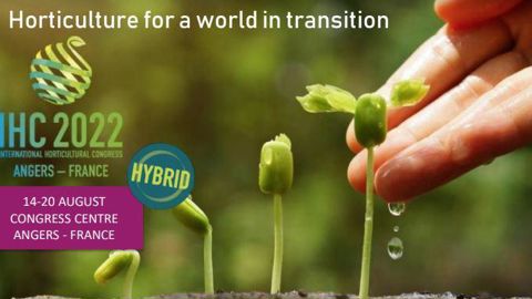 Un groupe restreint de réflexion tiendra sa première réunion le 24 novembre 2021 à Angers (49) pour organiser une éventuelle présence de l’enseignement technique supérieur au congrès mondial de l’horticulture en août 2022. ©IHC